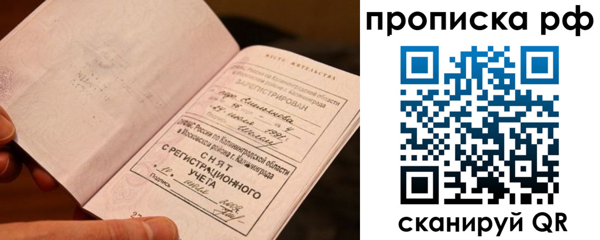 прописка гарантия в Опочке